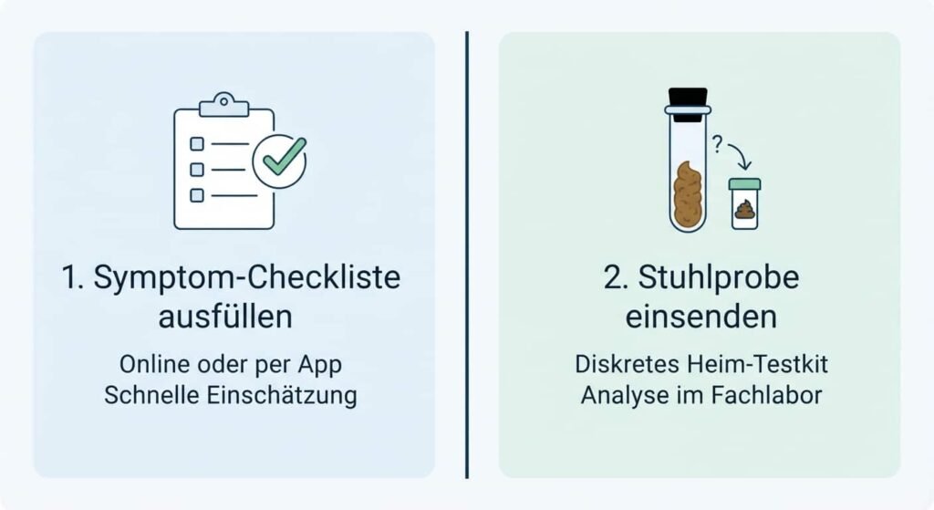 Vergleich zwischen Selbsttest per Checkliste und professioneller Labor-Analyse der Darmflora
